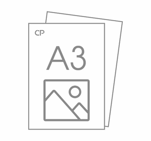 Черно-белая печать А3